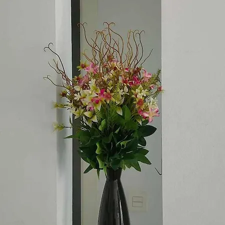 شقة Ocean Sunset Bristol *